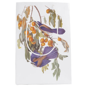 Audubon Florida Scrub Jay Bird on Orange Tree Medium Gift Bag