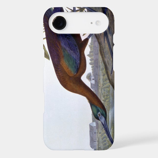 Audubon: Glossy Ibis Case-Mate Samsung Galaxy Case (Back)