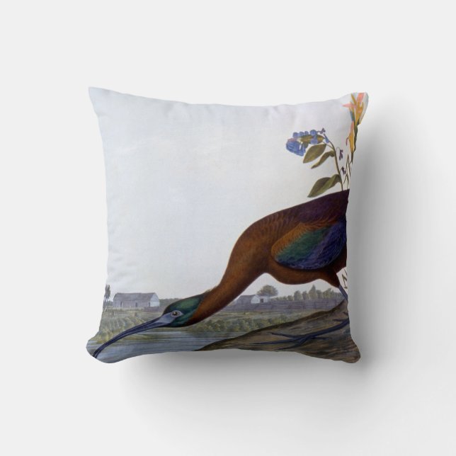 Audubon: Glossy Ibis Cushion (Front)