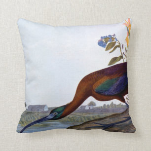 Audubon: Glossy Ibis Cushion