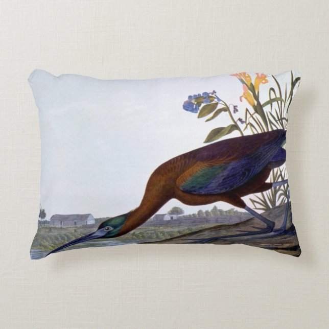 Audubon: Glossy Ibis Decorative Cushion (Front)