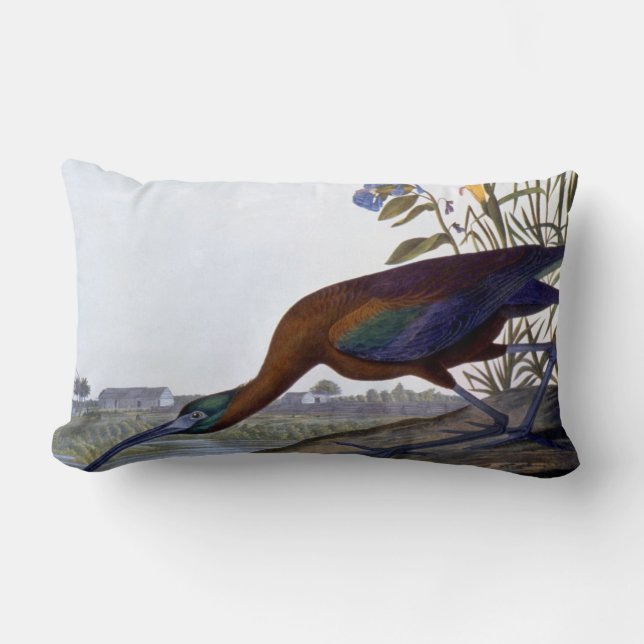 Audubon: Glossy Ibis Lumbar Cushion (Front)