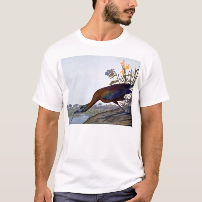 Audubon: Glossy Ibis T-Shirt (Front)
