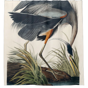Audubon Great Blue Heron 1834 Plate CCXI Shower Curtain