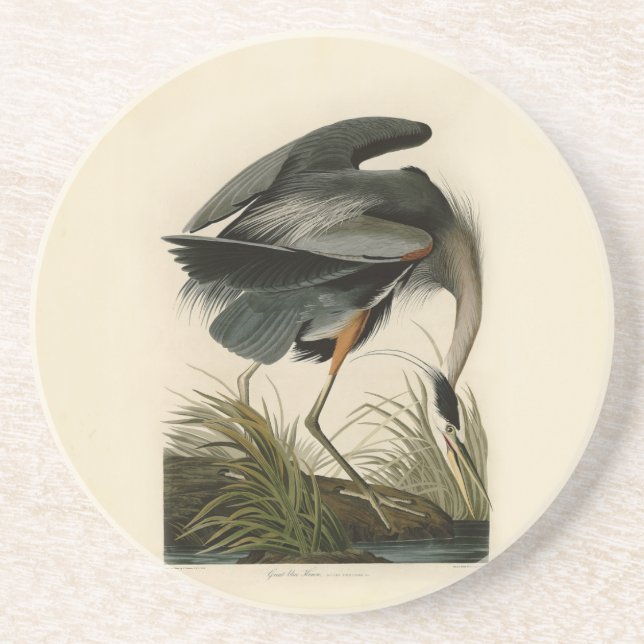 Audubon Great Blue Heron Marsh Bird Coaster (Front)