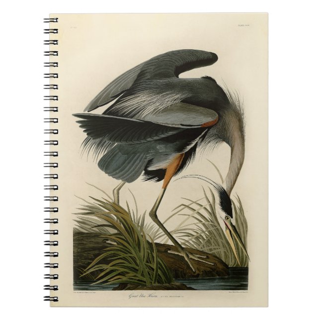 Audubon Great Blue Heron Marsh Bird Notebook (Front)