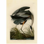 Audubon Great Blue Heron Marsh Bird Standing Photo Sculpture<br><div class="desc">Audubon Birds of America Prints - the Great Blue Heron John James Audubon was one of the America's great naturalists, documenting hundreds of birds species with great precision as he made his way across America and drew in detail the wild birds of America. Audubon then published lithographs of his scientific...</div>