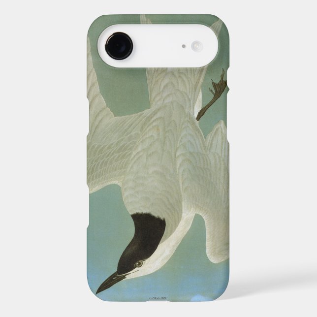Audubon: Gull-Billed Tern Case-Mate Samsung Galaxy Case (Back)