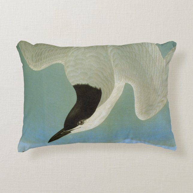 Audubon: Gull-Billed Tern Decorative Cushion (Front)