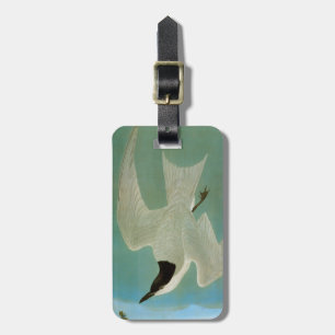 Audubon: Gull-Billed Tern Luggage Tag
