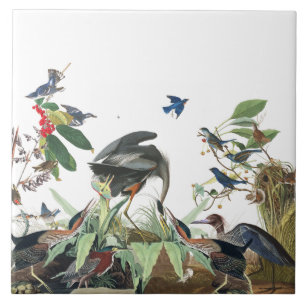 Audubon Heron Birds Wildlife Collage Tile