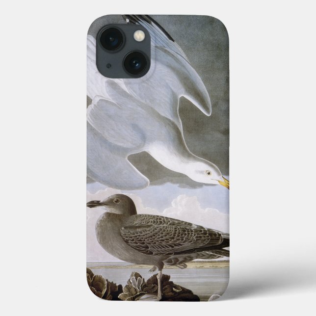 Audubon: Herring Gull Case-Mate iPhone Case (Back)