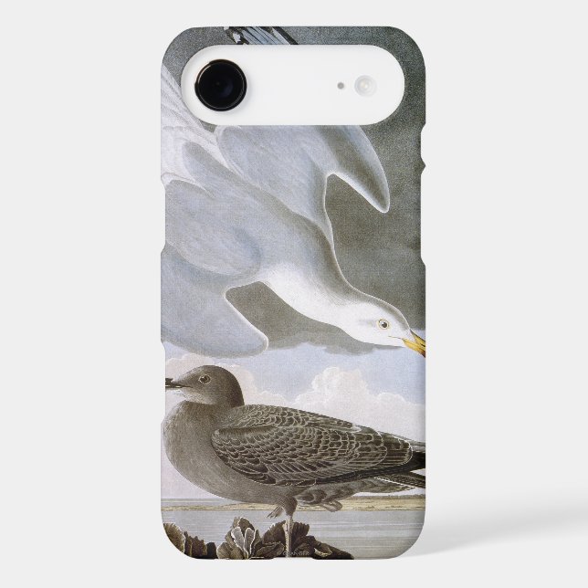 Audubon: Herring Gull Case-Mate Samsung Galaxy Case (Back)