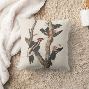 Audubon Ivory-Billed Woodpecker Cushion