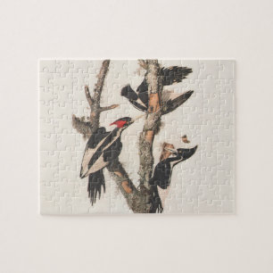 Audubon Ivory-Billed Woodpecker Jigsaw Puzzle