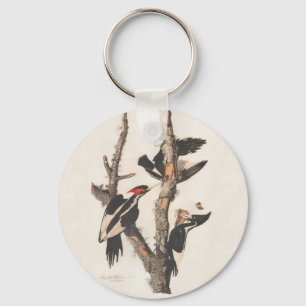 Audubon Ivory-Billed Woodpecker Key Ring