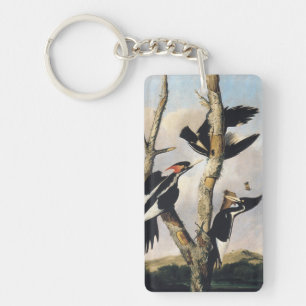 Audubon Ivory-Billed Woodpecker Painting Key Ring