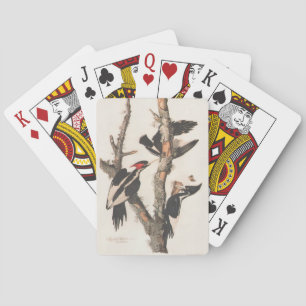Audubon Ivory-Billed Woodpecker Playing Cards