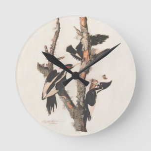 Audubon Ivory-Billed Woodpecker Round Clock