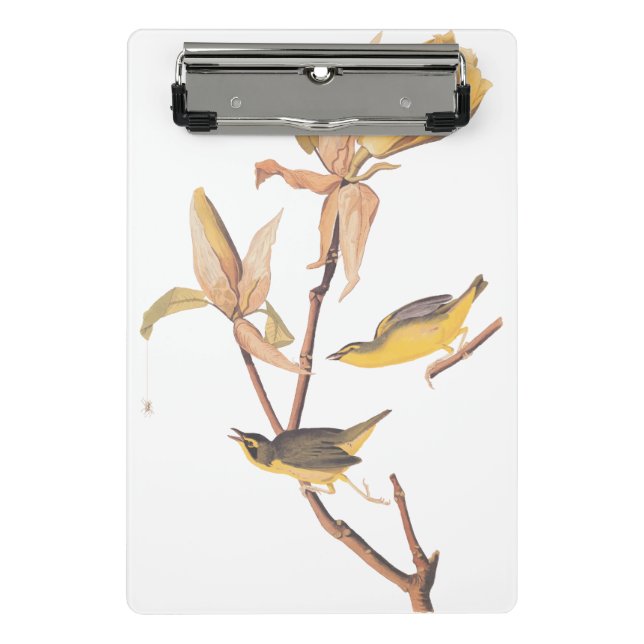 Audubon Kentucky Warblers on Magnolia Mini Clipboard (Front)