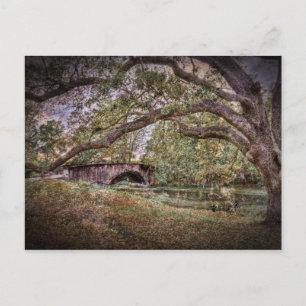 Audubon Lagoon Postcard