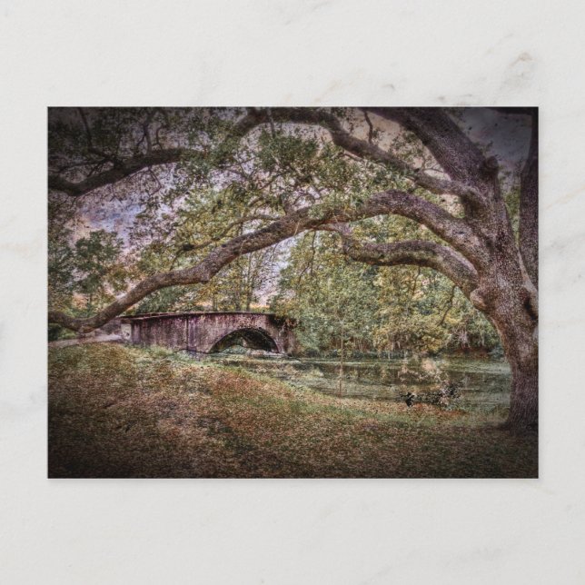 Audubon Lagoon Postcard (Front)