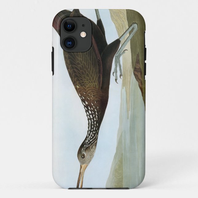 Audubon: Limpkin Case-Mate iPhone Case (Back)
