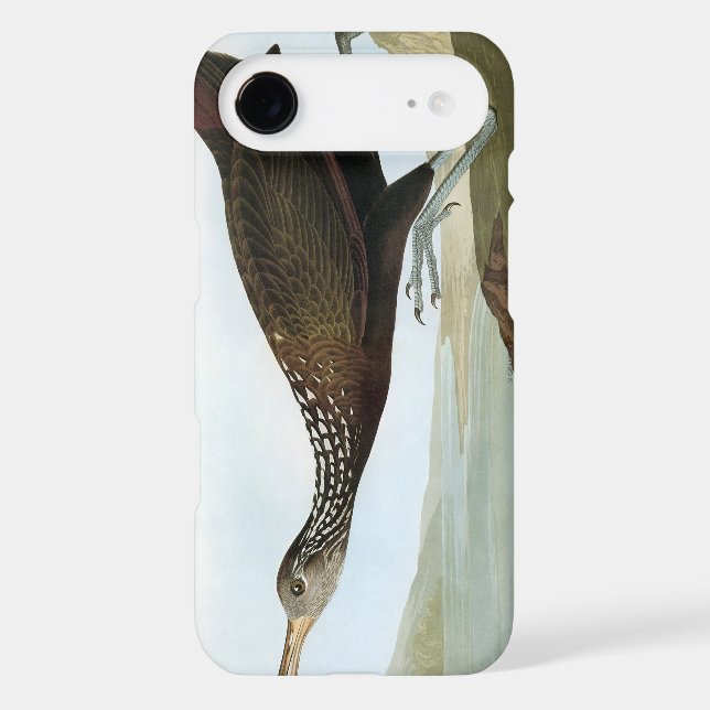 Audubon: Limpkin Case-Mate Samsung Galaxy Case (Back)