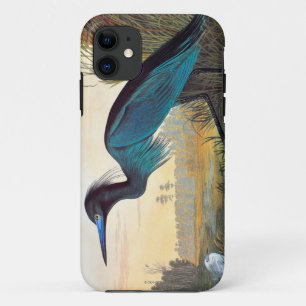 Audubon: Little Blue Heron iPhone 11 Case