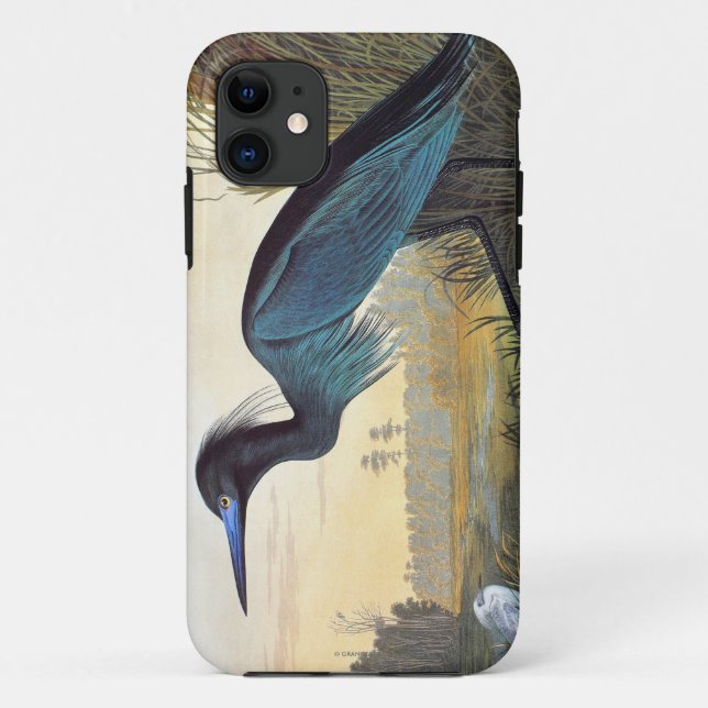 Audubon: Little Blue Heron Case-Mate iPhone Case (Back)