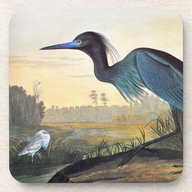 Audubon: Little Blue Heron Coaster (Front)