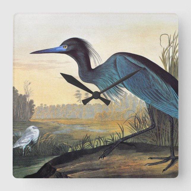 Audubon: Little Blue Heron Square Wall Clock (Front)