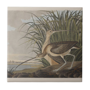 Audubon Long-Billed Curlew Bird Ceramic Tile
