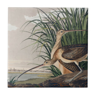 Audubon Long-Billed Curlew Bird Ceramic Tile