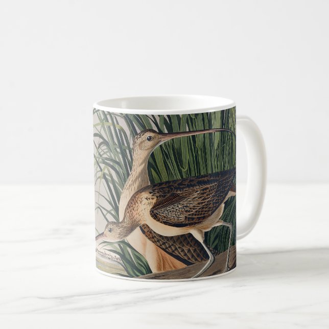 Audubon Long-Billed Curlew Bird Coffee Mug (Front Right)
