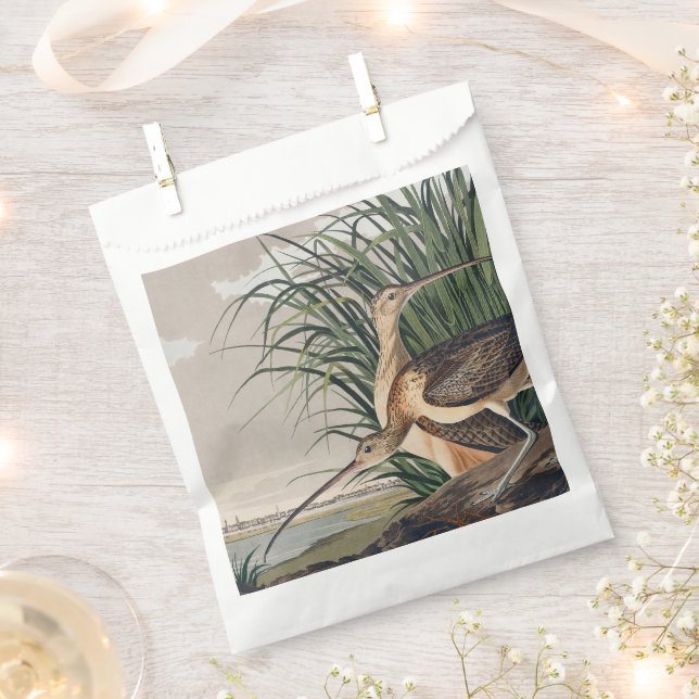 Audubon Long-Billed Curlew Bird Favour Bag (Clipped)