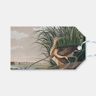 Audubon Long-Billed Curlew Bird Gift Tags