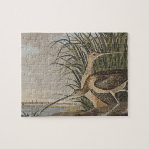 Audubon Long-Billed Curlew Bird Jigsaw Puzzle