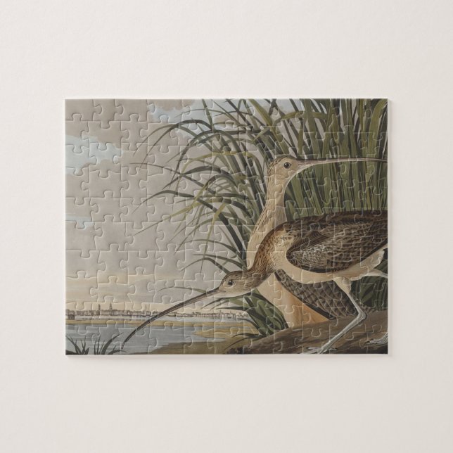 Audubon Long-Billed Curlew Bird Jigsaw Puzzle (Horizontal)