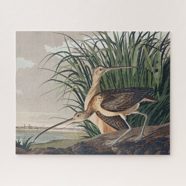 Audubon Long-Billed Curlew Bird Jigsaw Puzzle (Horizontal)