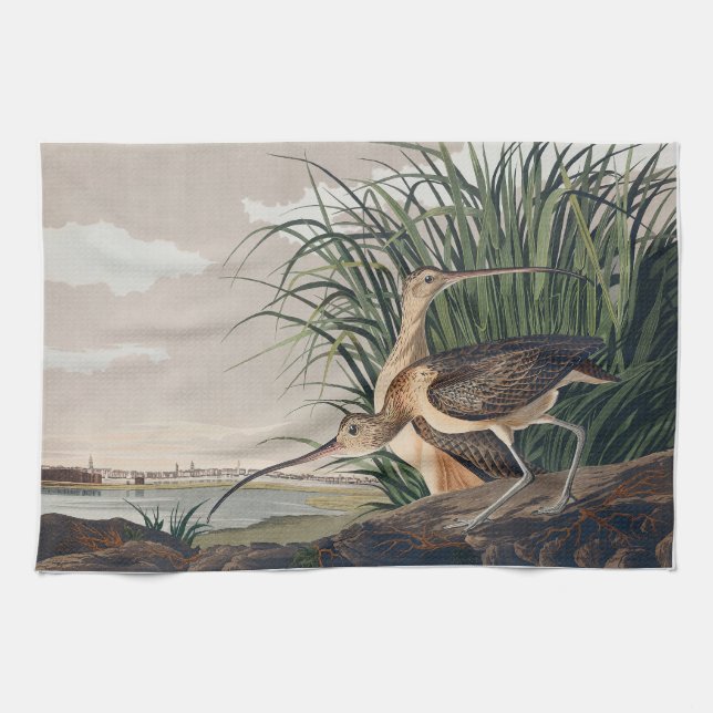 Audubon Long-Billed Curlew Bird Tea Towel (Horizontal)