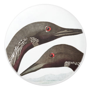 Audubon Loon Birds Wildlife Animal Knob