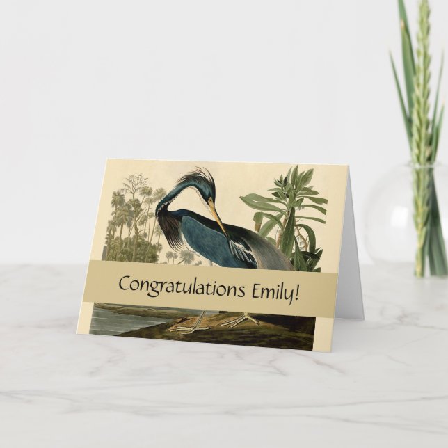 Audubon Louisiana Heron Birds America Art Card (Front)