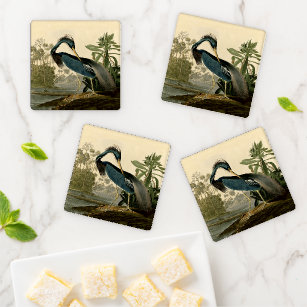Audubon Louisiana Heron Birds America Art Coaster Set
