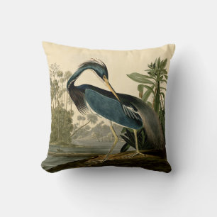 Audubon Louisiana Heron Birds America Art Cushion