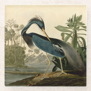 Audubon Louisiana Heron Birds America Art Glass Coaster