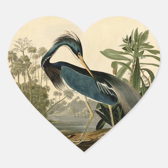 Audubon Louisiana Heron Birds America Art Heart Sticker (Front)