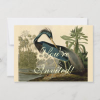 Audubon Louisiana Heron Birds America Art