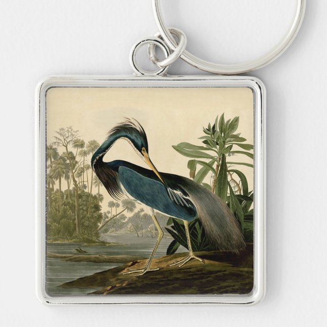 Audubon Louisiana Heron Birds America Art Key Ring (Front)