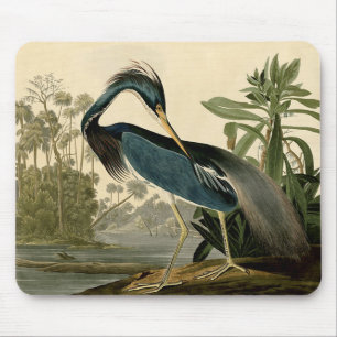 Audubon Louisiana Heron Birds America Art Mouse Pad